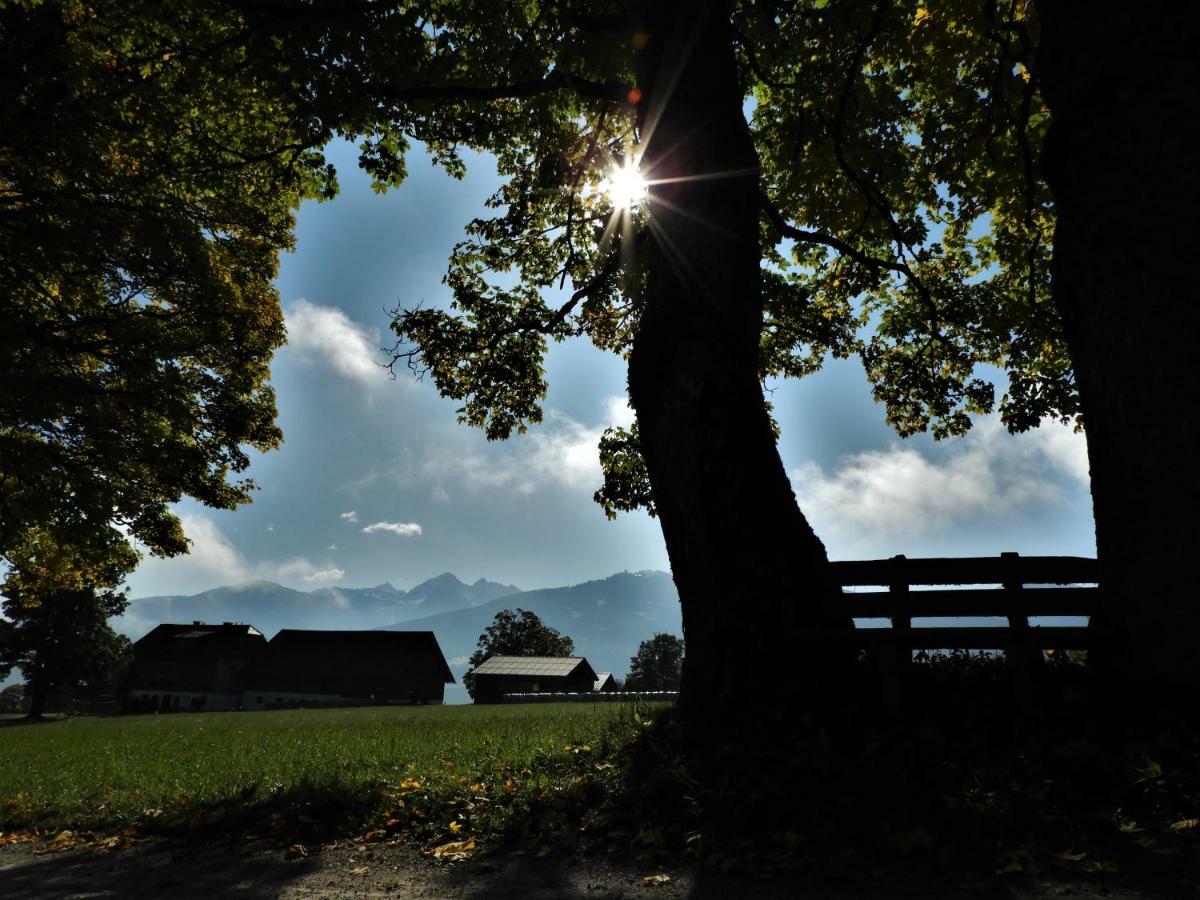 Apartment Eggerhof Ramsau am Dachstein