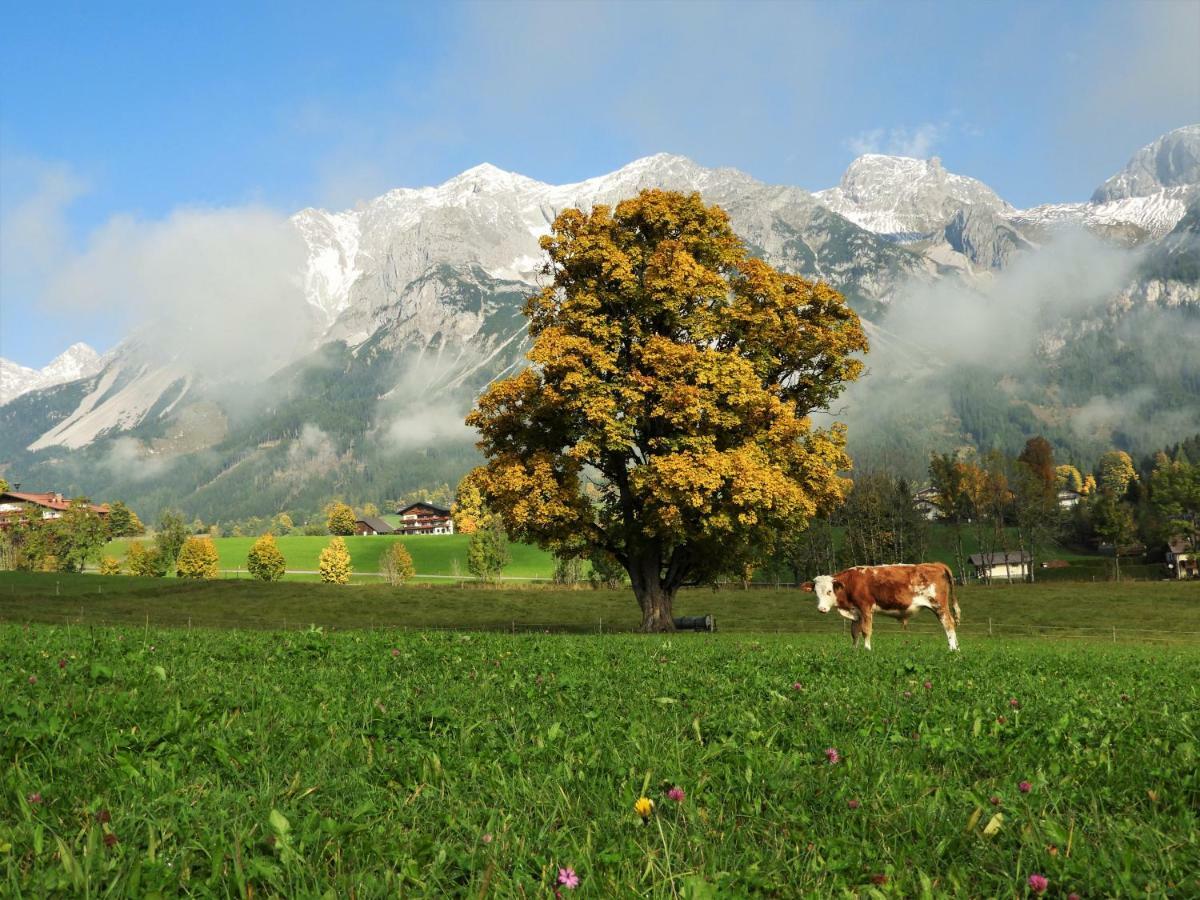 Eggerhof Apartment Ramsau am Dachstein